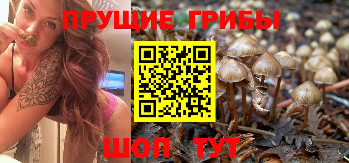 Псилоцибиновые грибы ЛСД  Галлюциногенные грибы Magic Shrooms  Вход с VPN  Междуреченск 